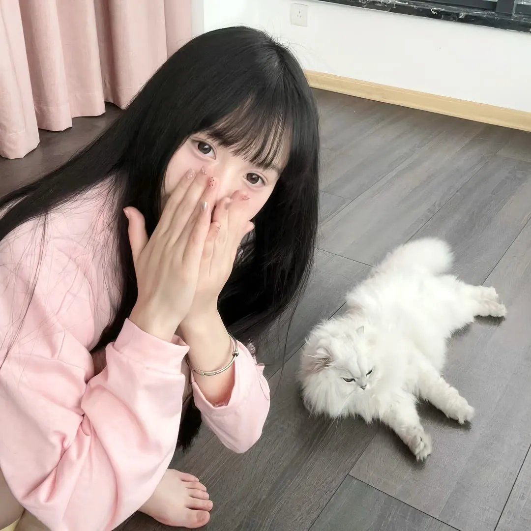 玉屏风